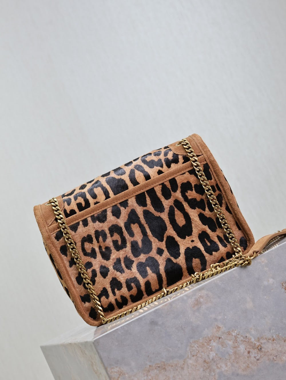 Dragons Bags YSLn Luxury Bag --119650