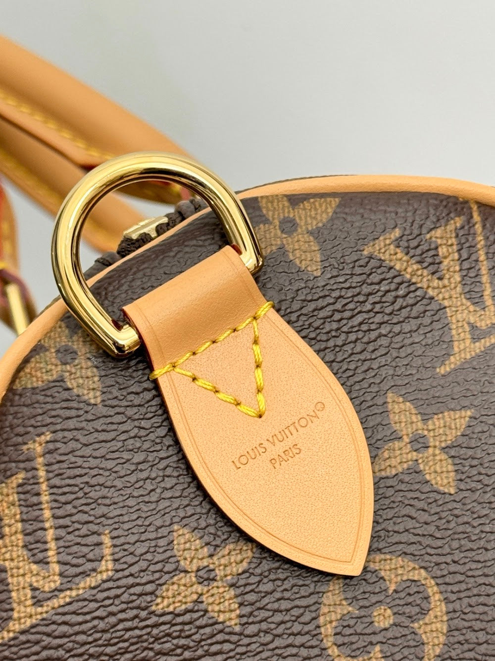 Dragons Bags ln Luxury Bag --96283
