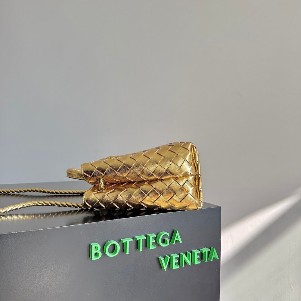 Dragons Bags Bottegan Luxury Bag --91313