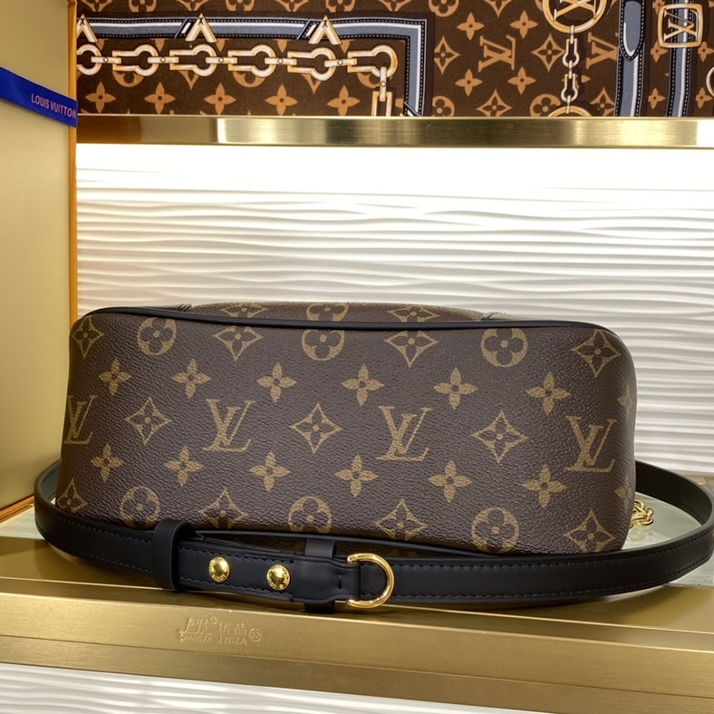 Dragons Bags LVn Luxury Bag --80346