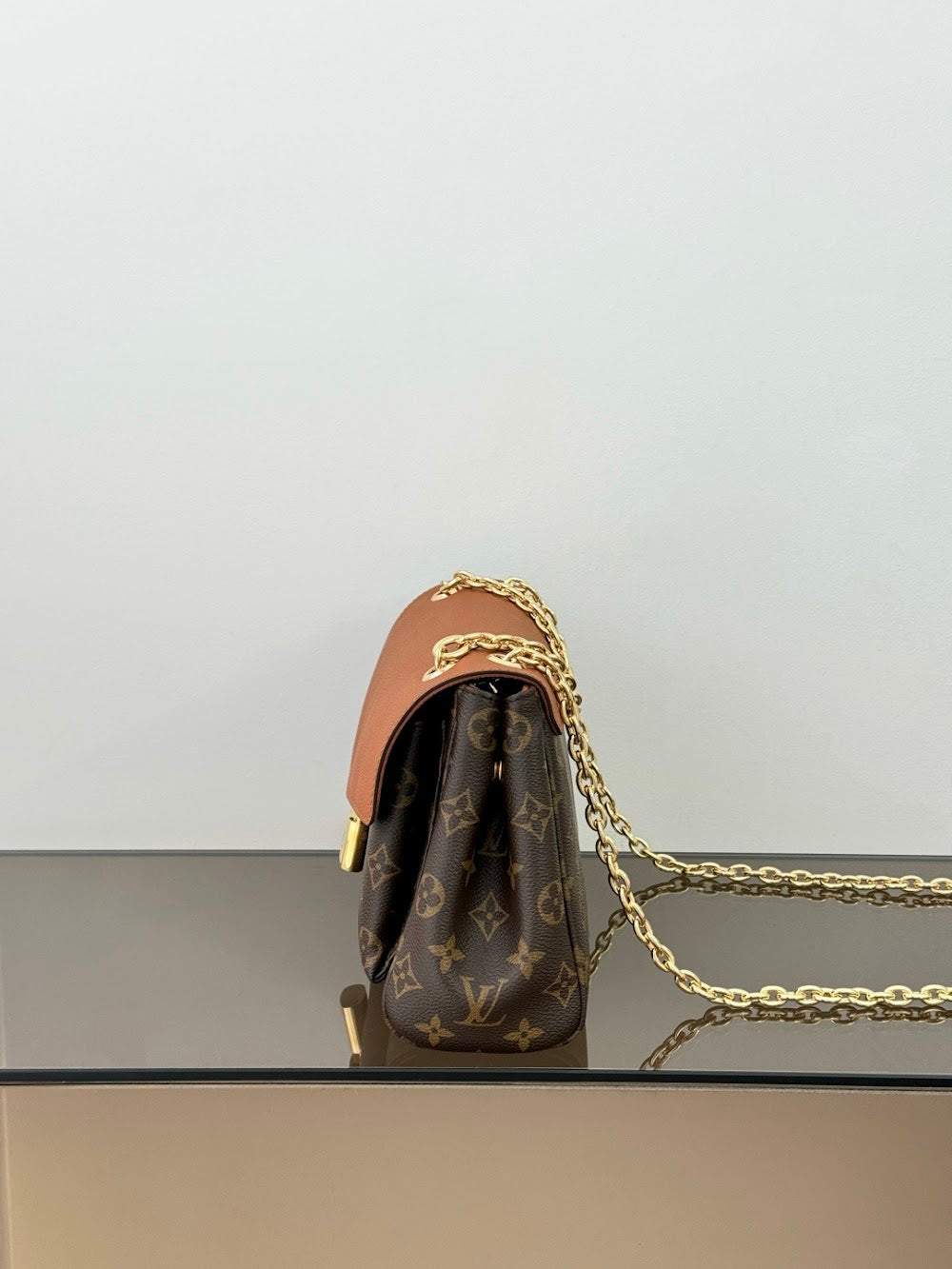 Dragons Bags ln Luxury Bag --96293