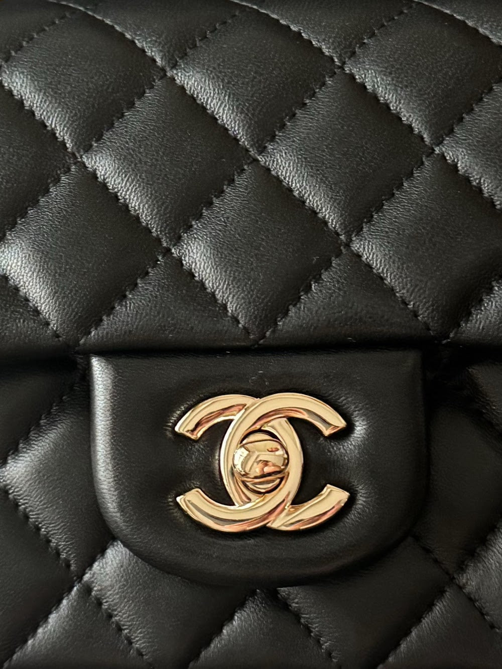 Dragons Bags CHn Luxury Bag --112933