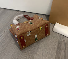 new-elite-designer-bags-nm6294