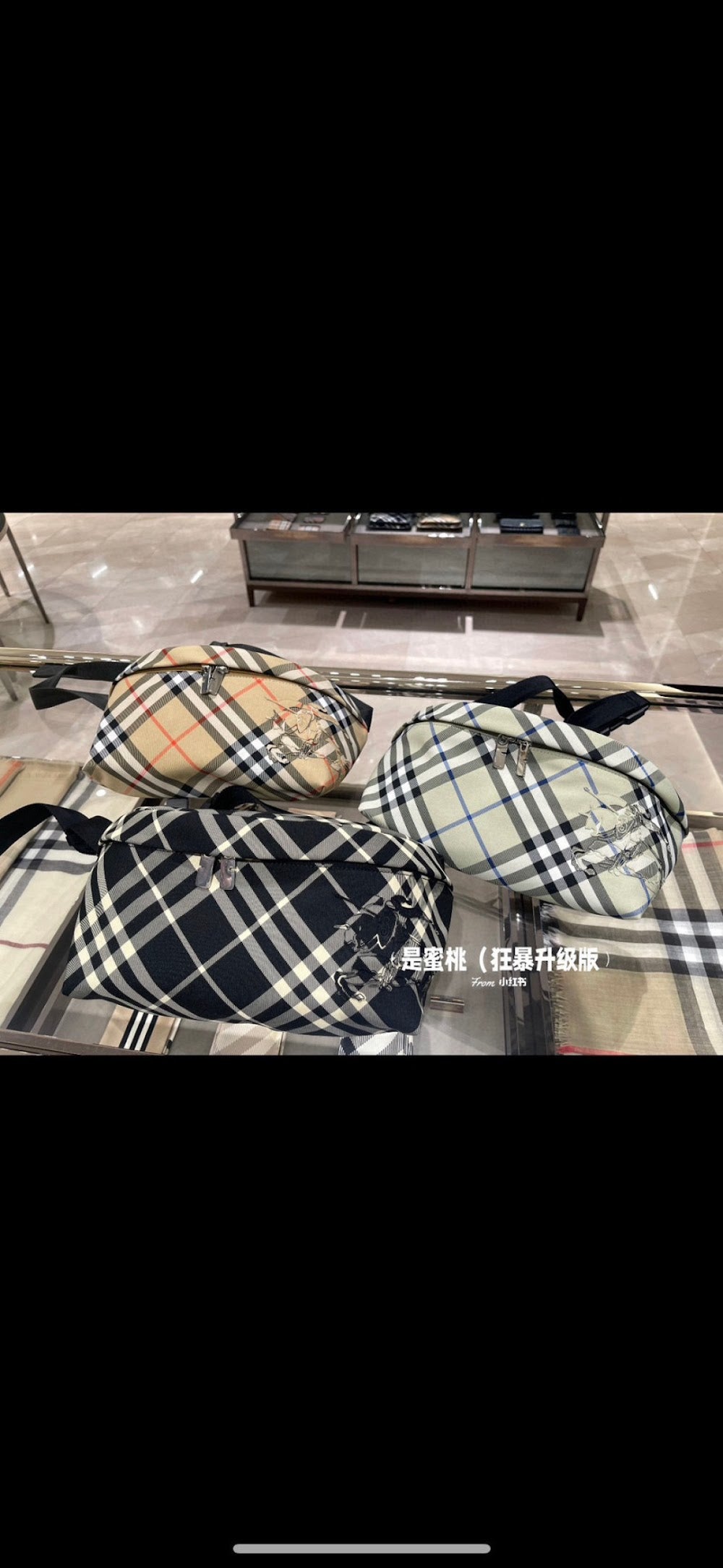 Dragons Bags Burberryn Luxury Bag --93119