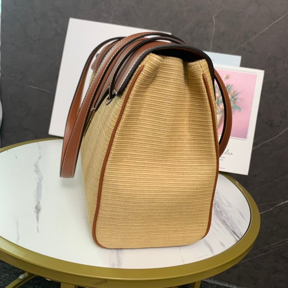 Dragons Bags Celine Luxury Bag --112032