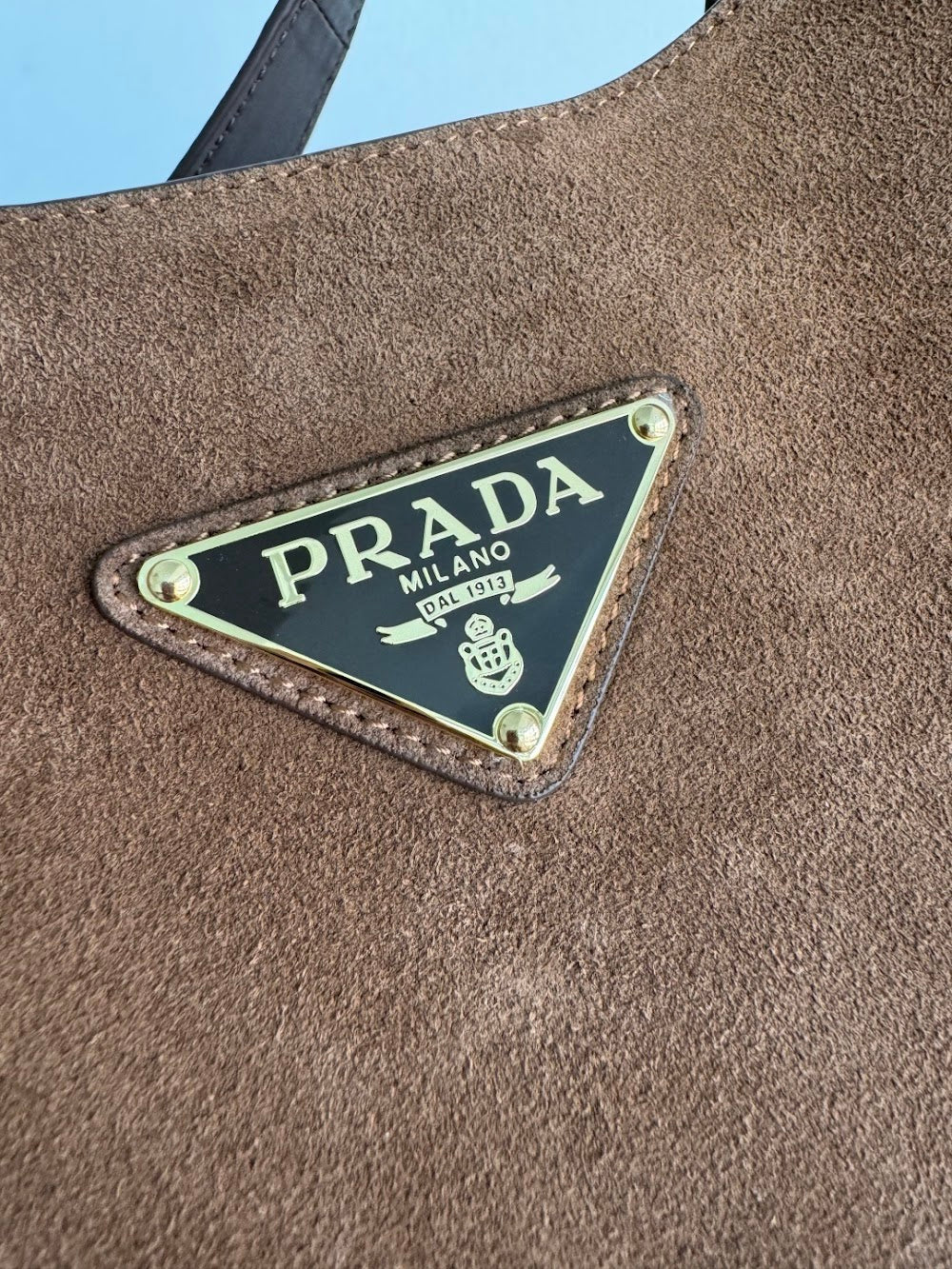 Dragons Bags Pradn Luxury Bag --101493