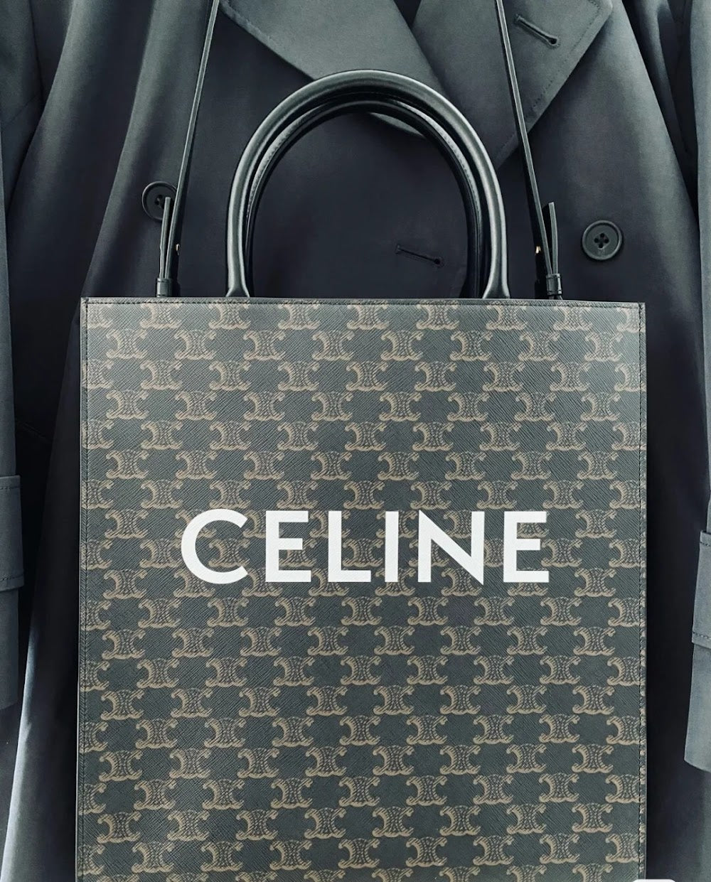 Dragons Bags Celine Luxury Bag --112058