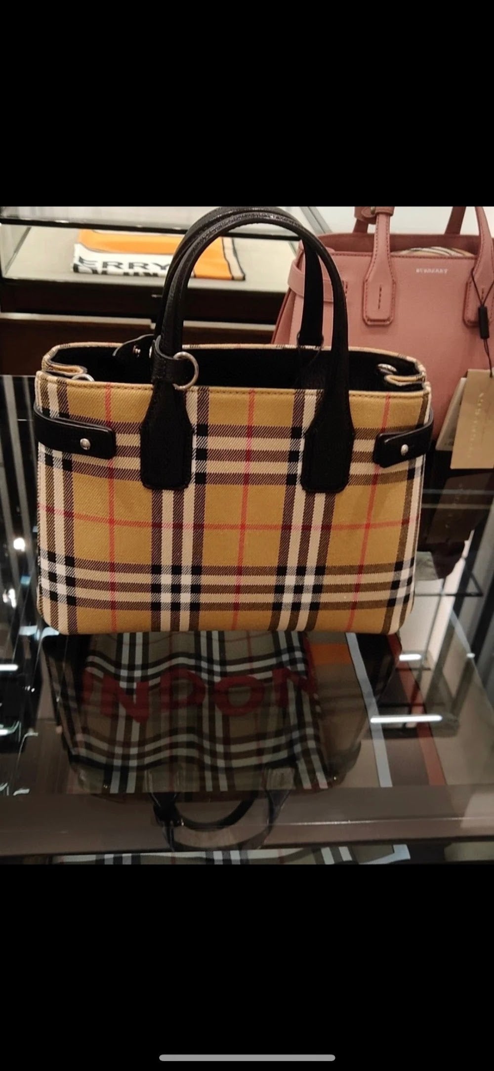 Dragons Bags Burberryn Luxury Bag --92166