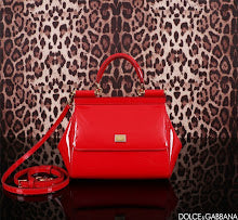 new-designer-premium-bags-nm6962