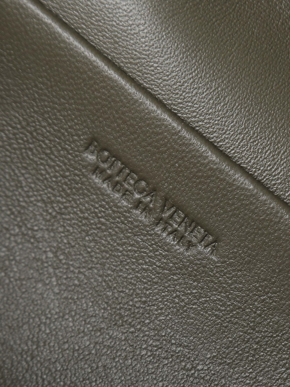 Dragons Bags Bottegan Luxury Bag --91423