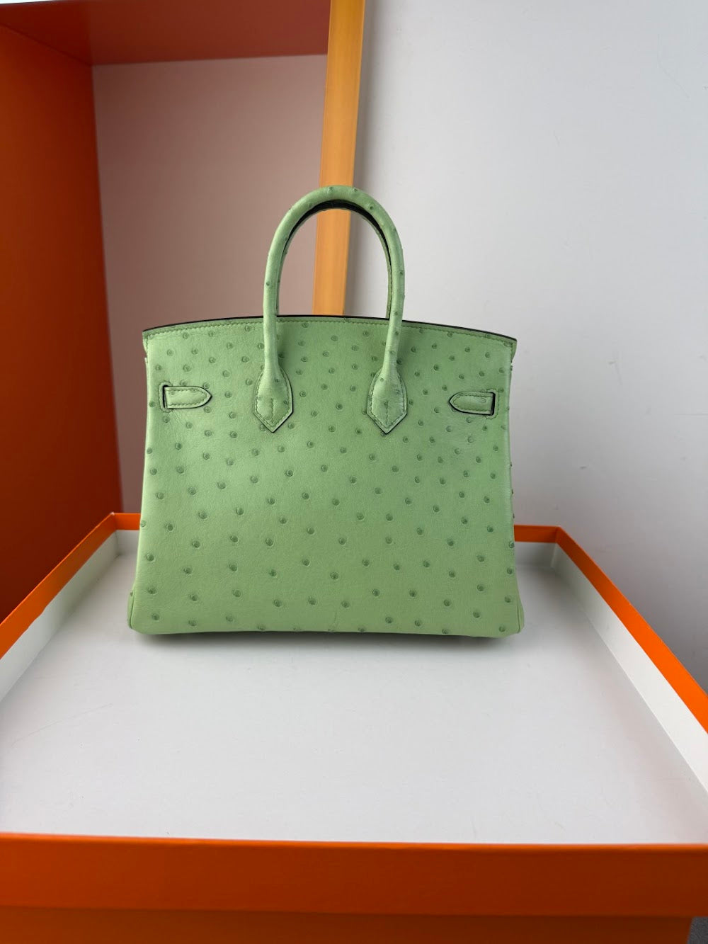 Dragons BagsHermesn Luxury Bag --116758