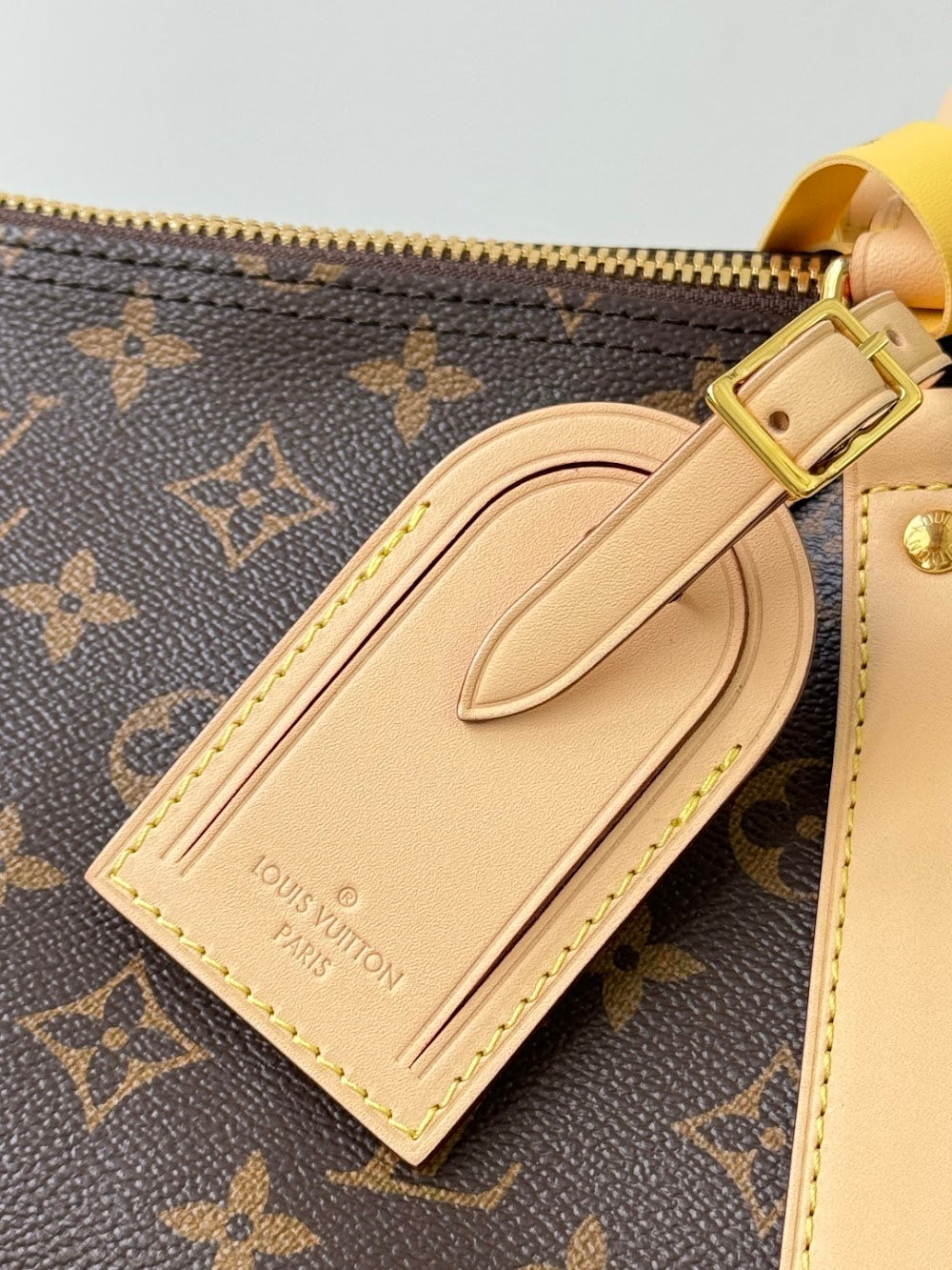 Dragons Bags ln Luxury Bag --96816