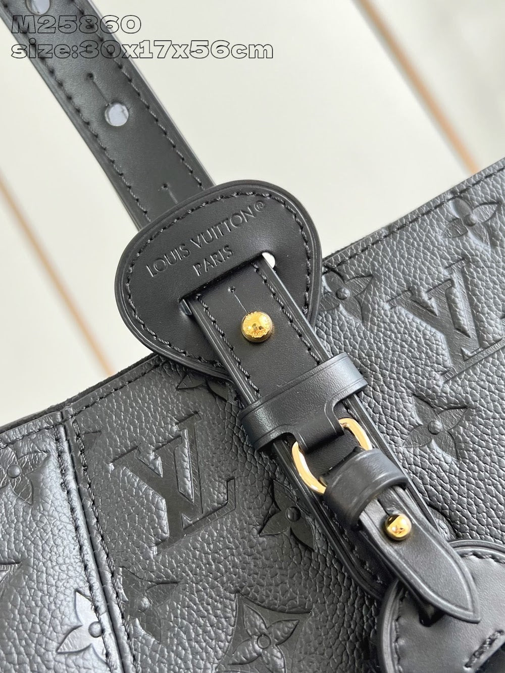 Dragons Bags ln Luxury Bag --96863