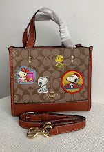 new-designer-premium-bags-nm6588