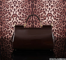 new-luxury-designer-bags-nm6960