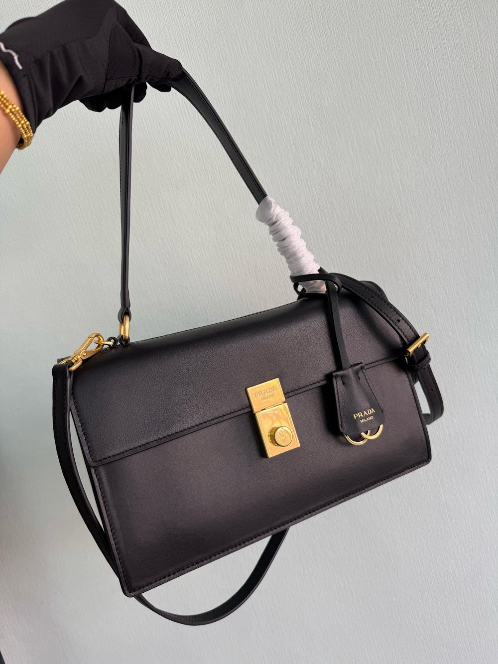 Dragons Bags Pradn Luxury Bag --102547