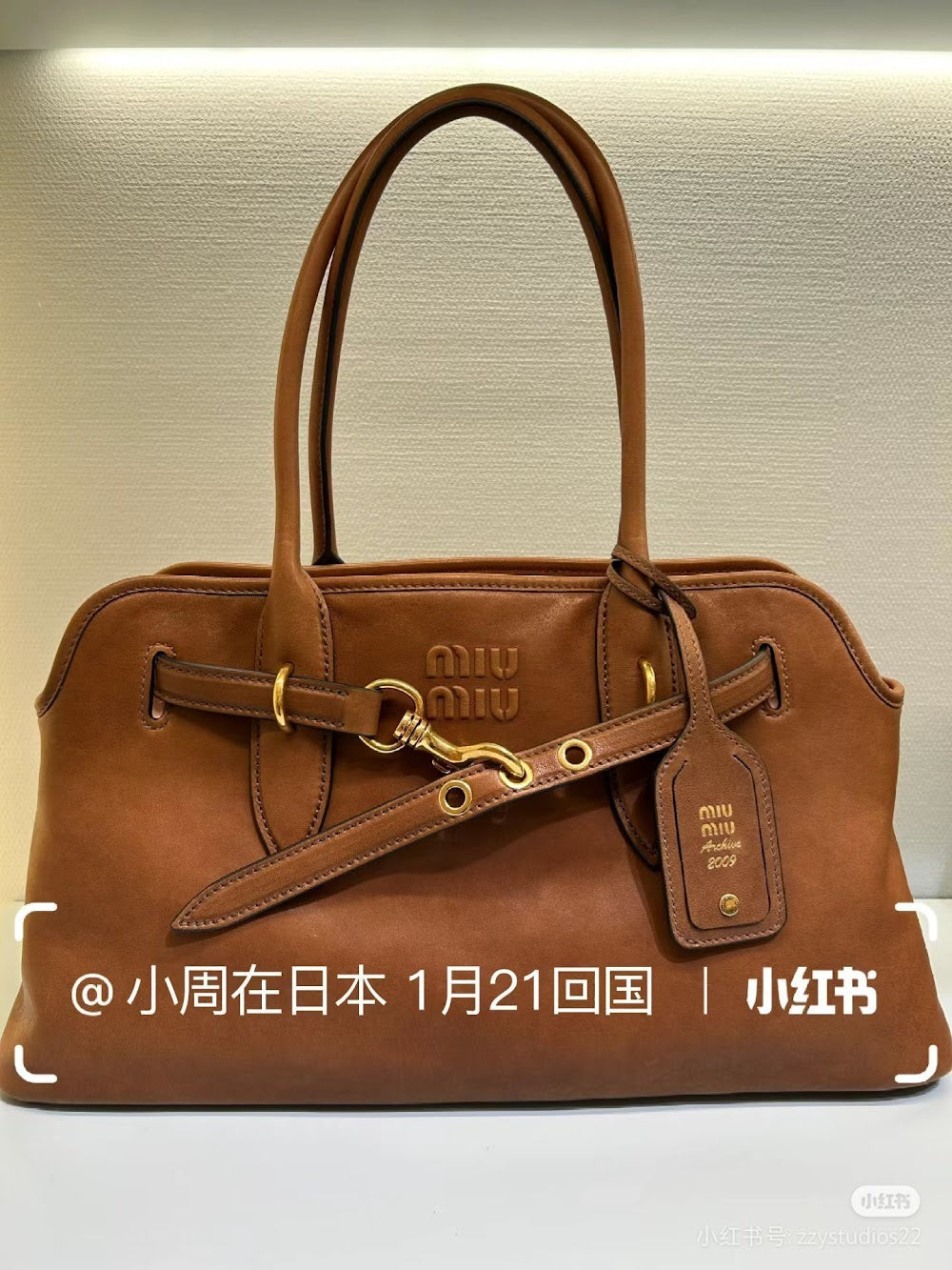 Dragons Bags Miun Miun Luxury Bag --122459