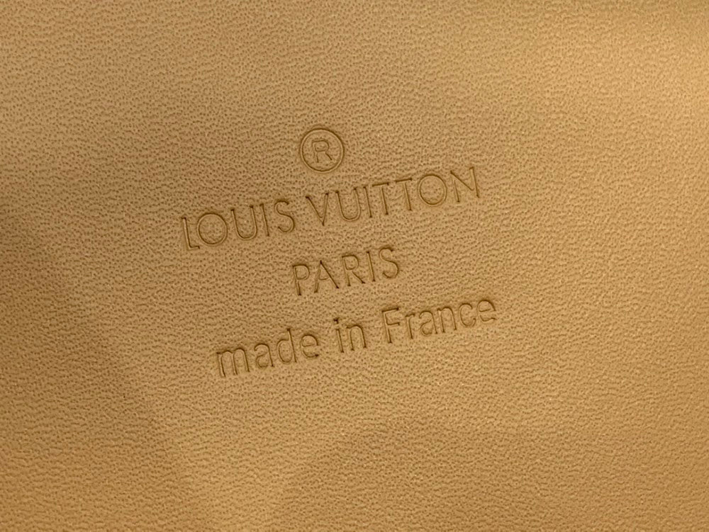 Dragons Bags ln Luxury Bag --56495