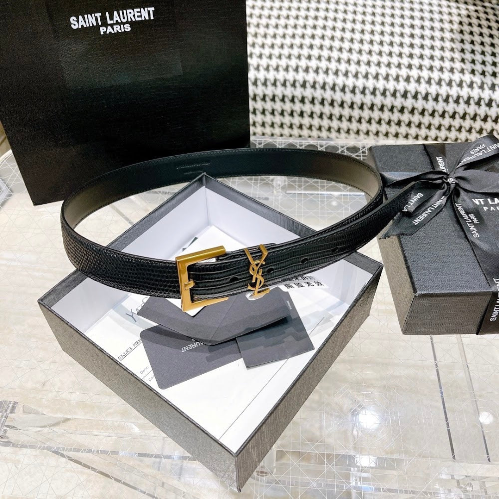 Dragons Bags YSLn Luxury Belt --107529