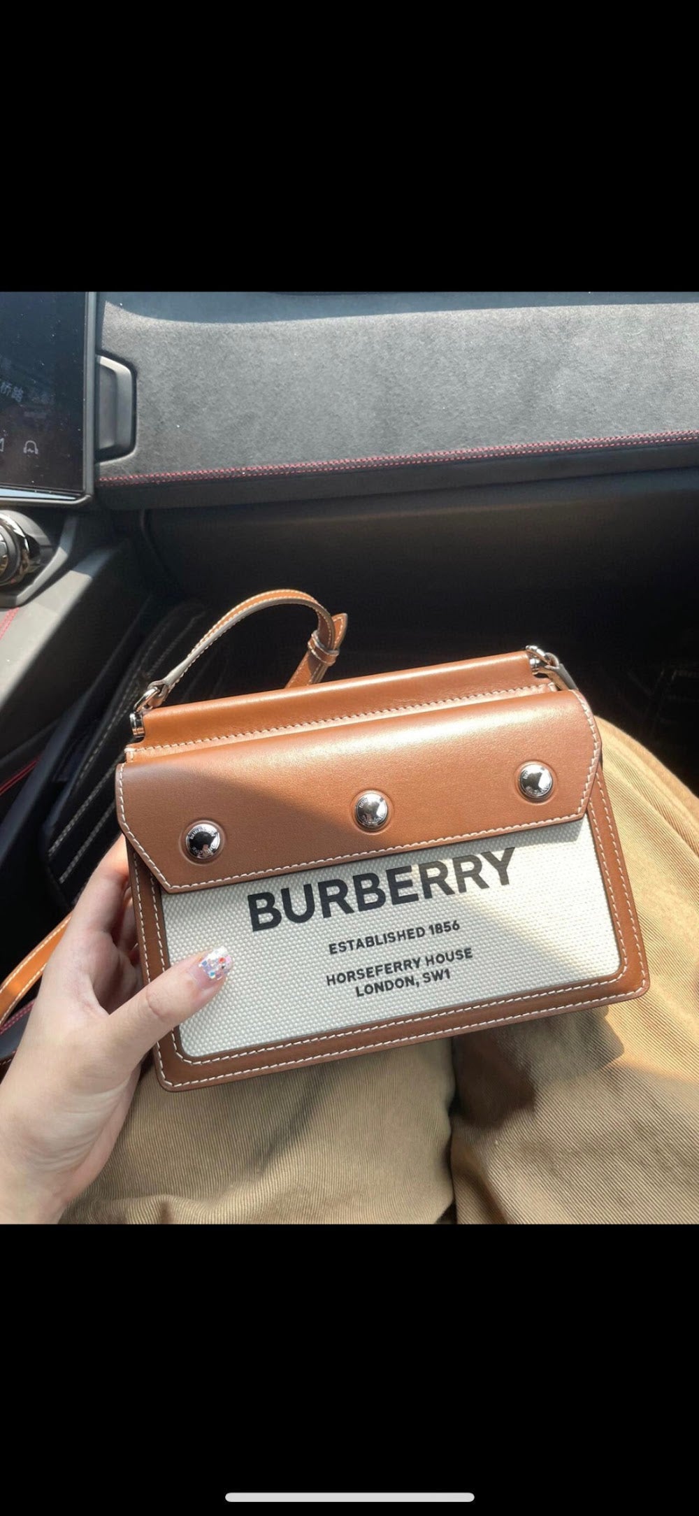 Dragons Bags Burberryn Luxury Bag --91935