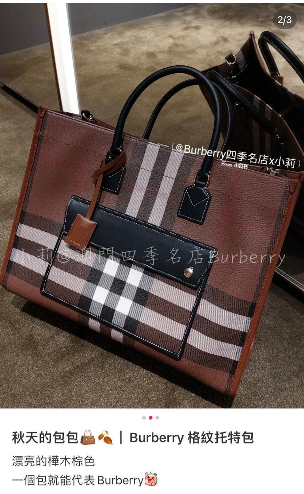 Dragons Bags Burberryn Luxury Bag --92839