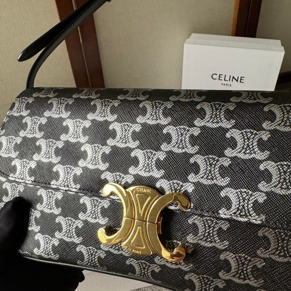 Dragons Bags Celine Luxury Bag --112507