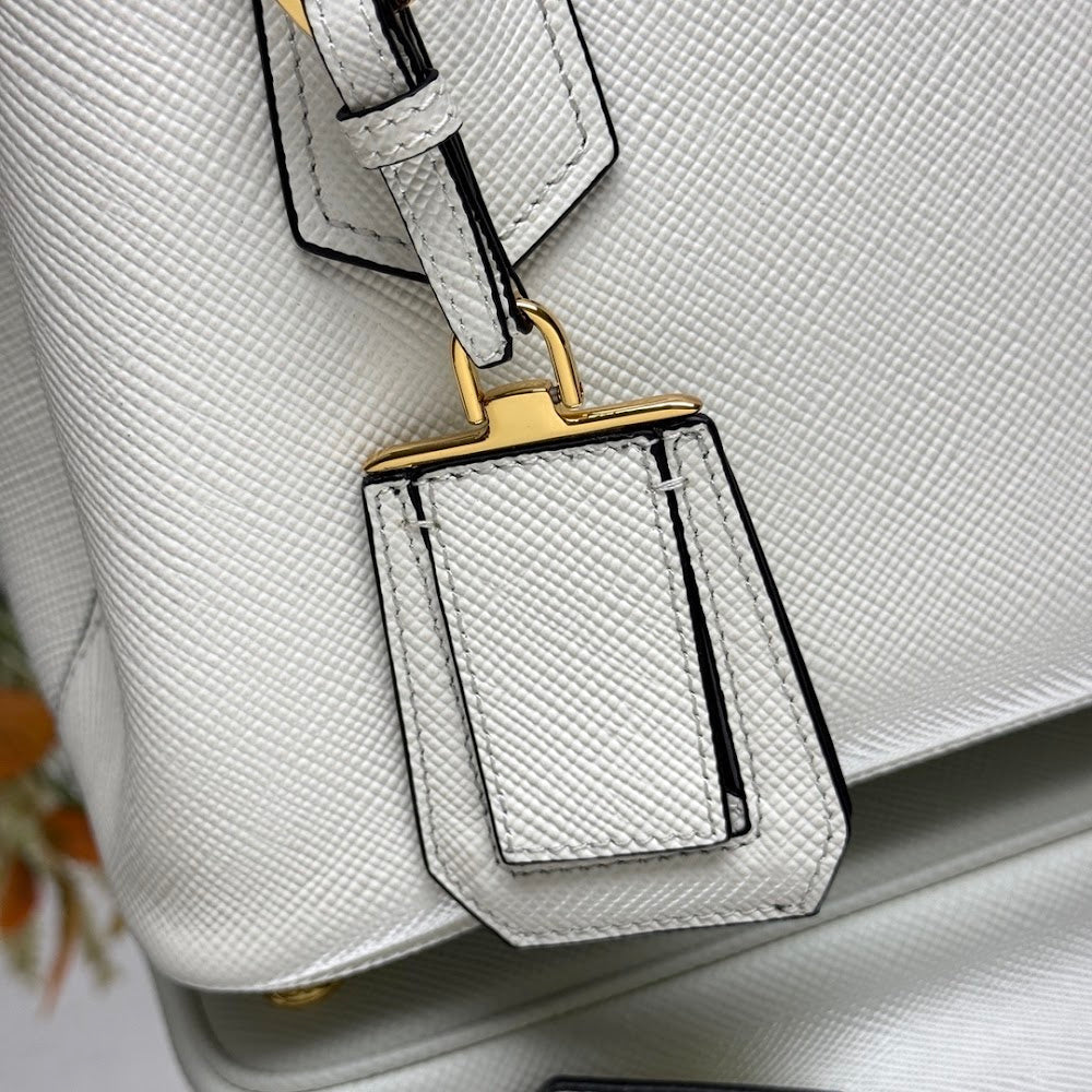 Dragons Bags Pradn Luxury Bag --102203