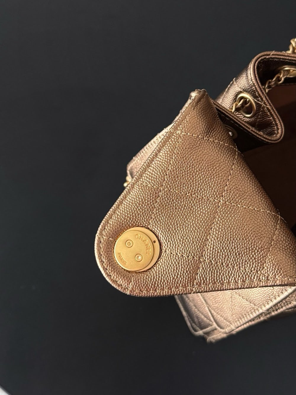 Dragons BagsCHn Luxury Bag --114222