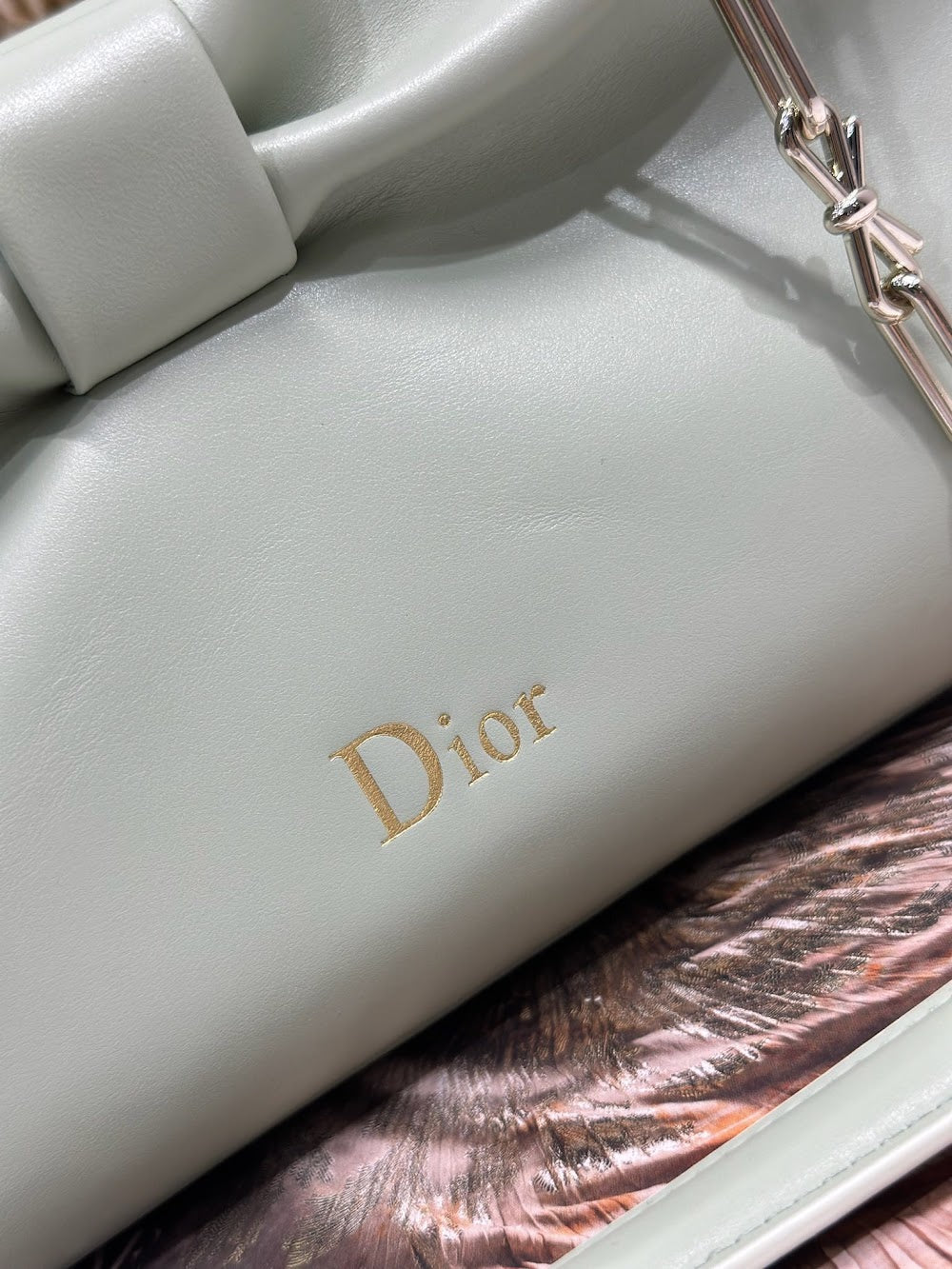 Dragons BagsDiorn Luxury Bag --115302