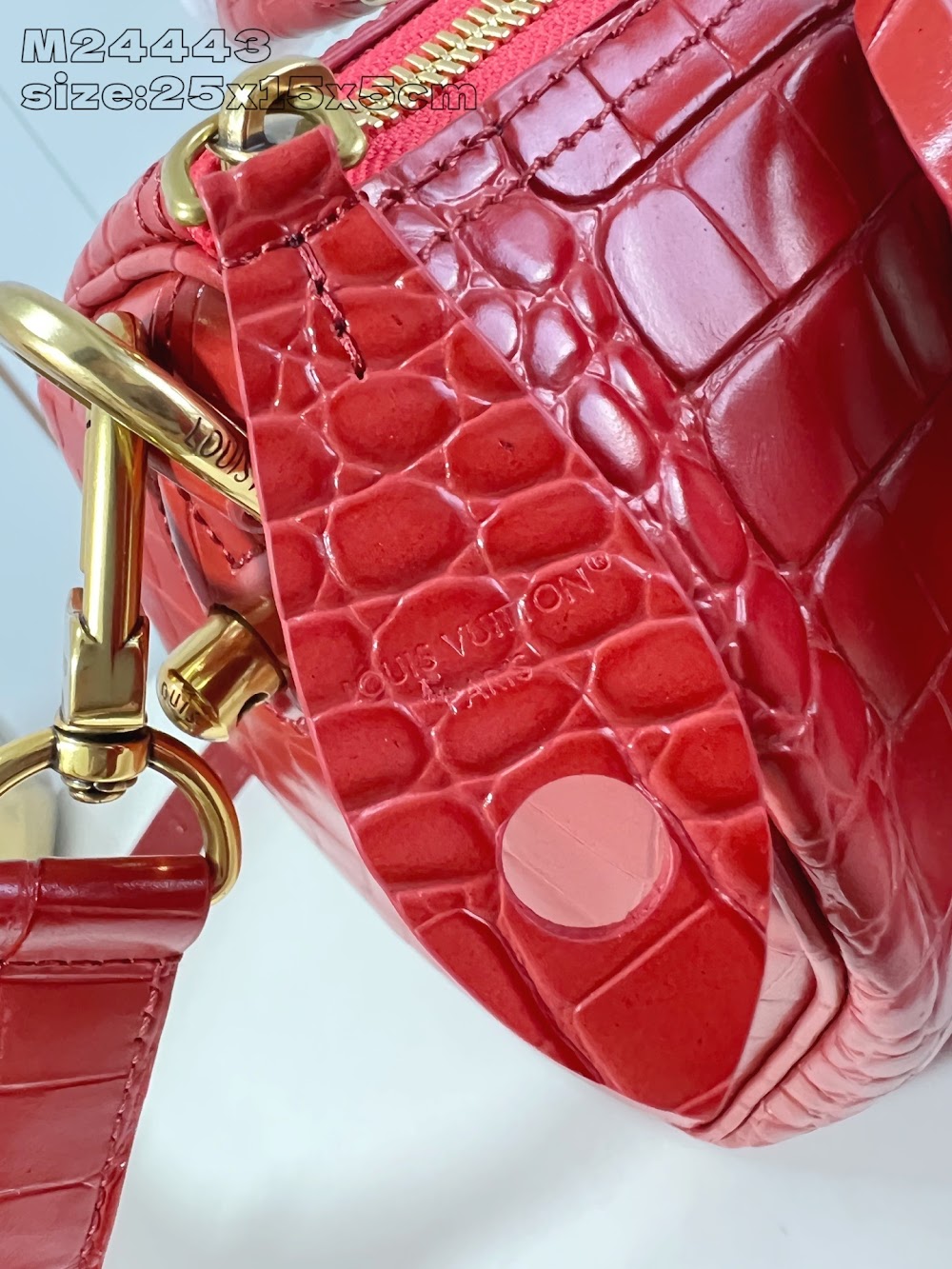 Dragons Bags ln Luxury Bag --96966
