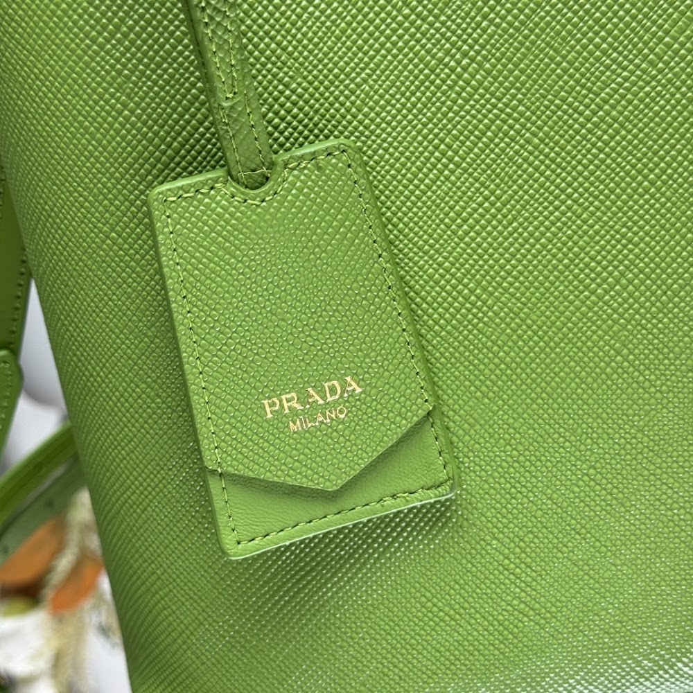 Dragons Bags Pradn Luxury Bag --102378