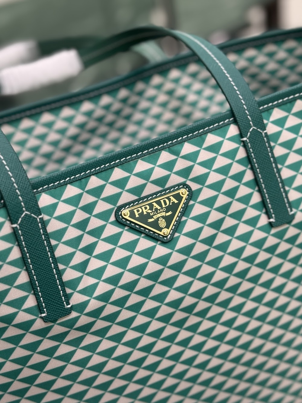 Dragons Bags Pradn Luxury Bag --102737