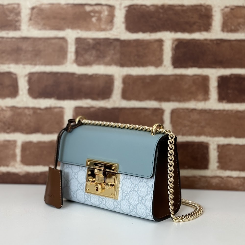 Dragons Bags Guccin Luxury Bag --95271