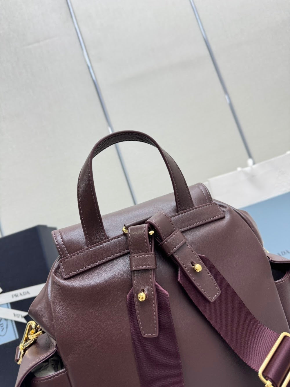 Dragons Bags Pradn Luxury Bag --101374