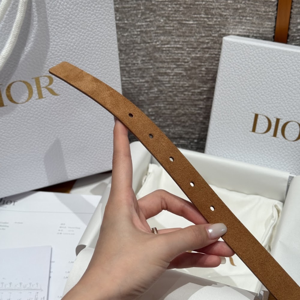 Dragons Bags Diorn Luxury Belt --104995