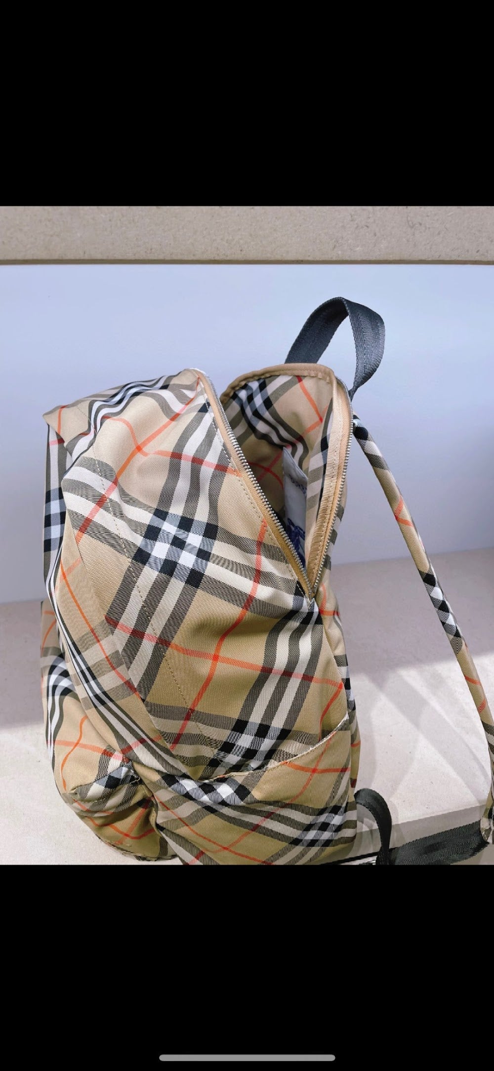 Dragons Bags Burberryn Luxury Bag --93113