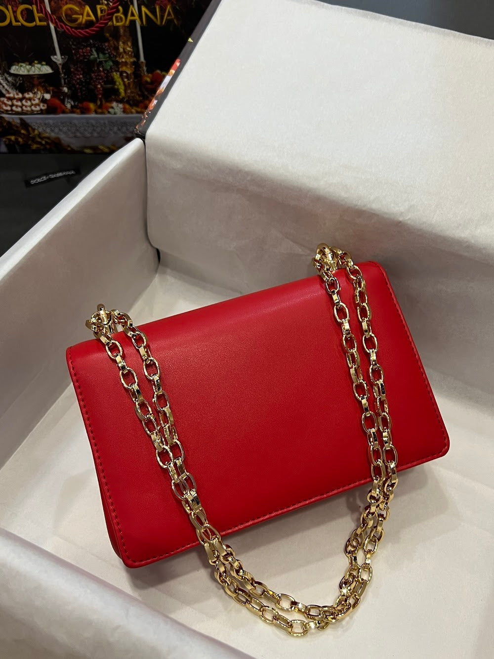 Dragons Bags DGn Luxury Bag --93877