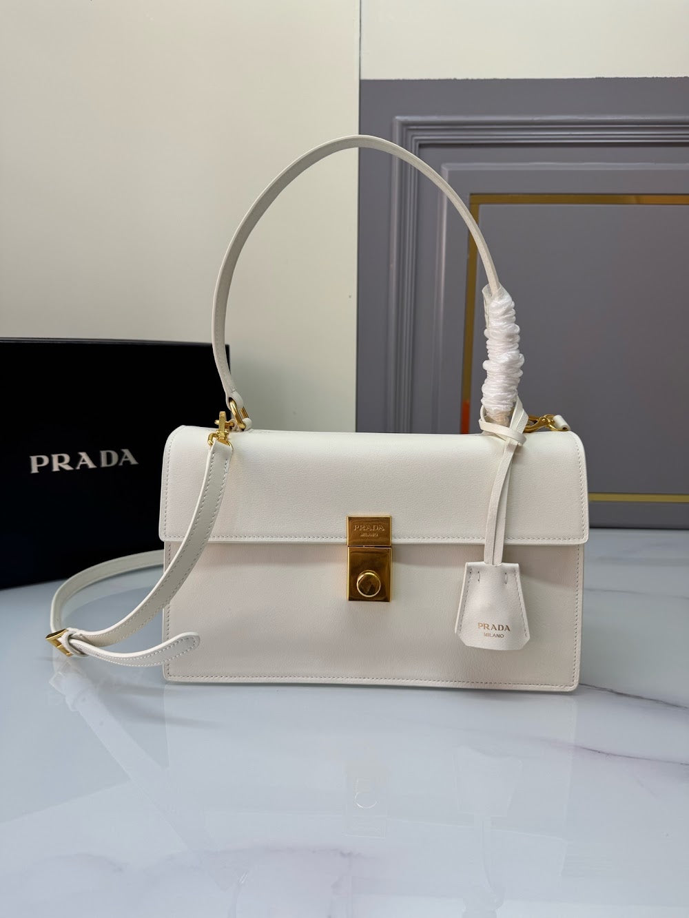 Dragons Bags Pradn Luxury Bag --102542