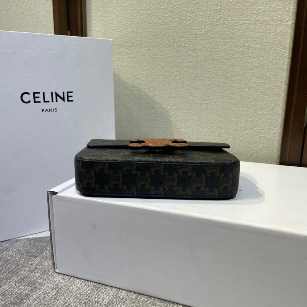 Dragons Bags Celine Luxury Bag --112644