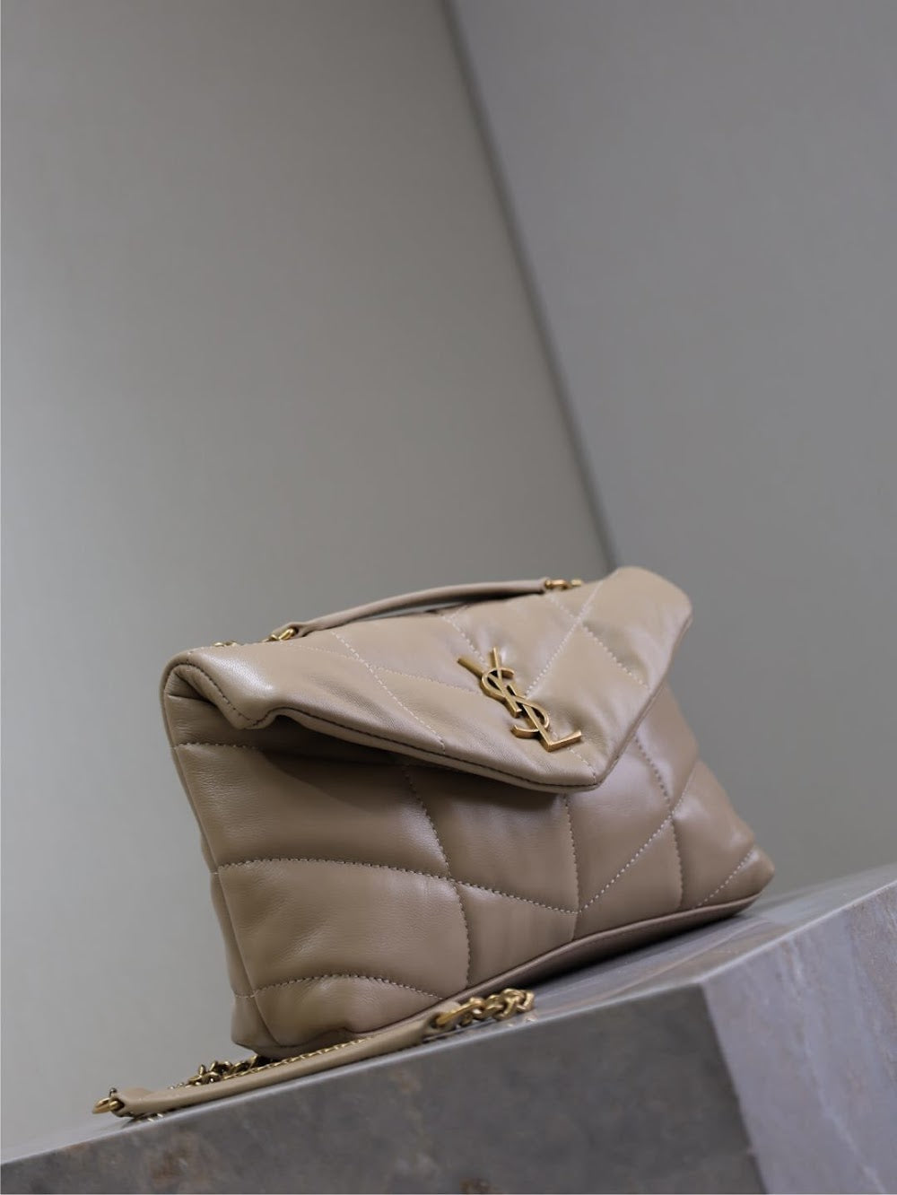 Dragons Bags YSLn Luxury Bag --119431