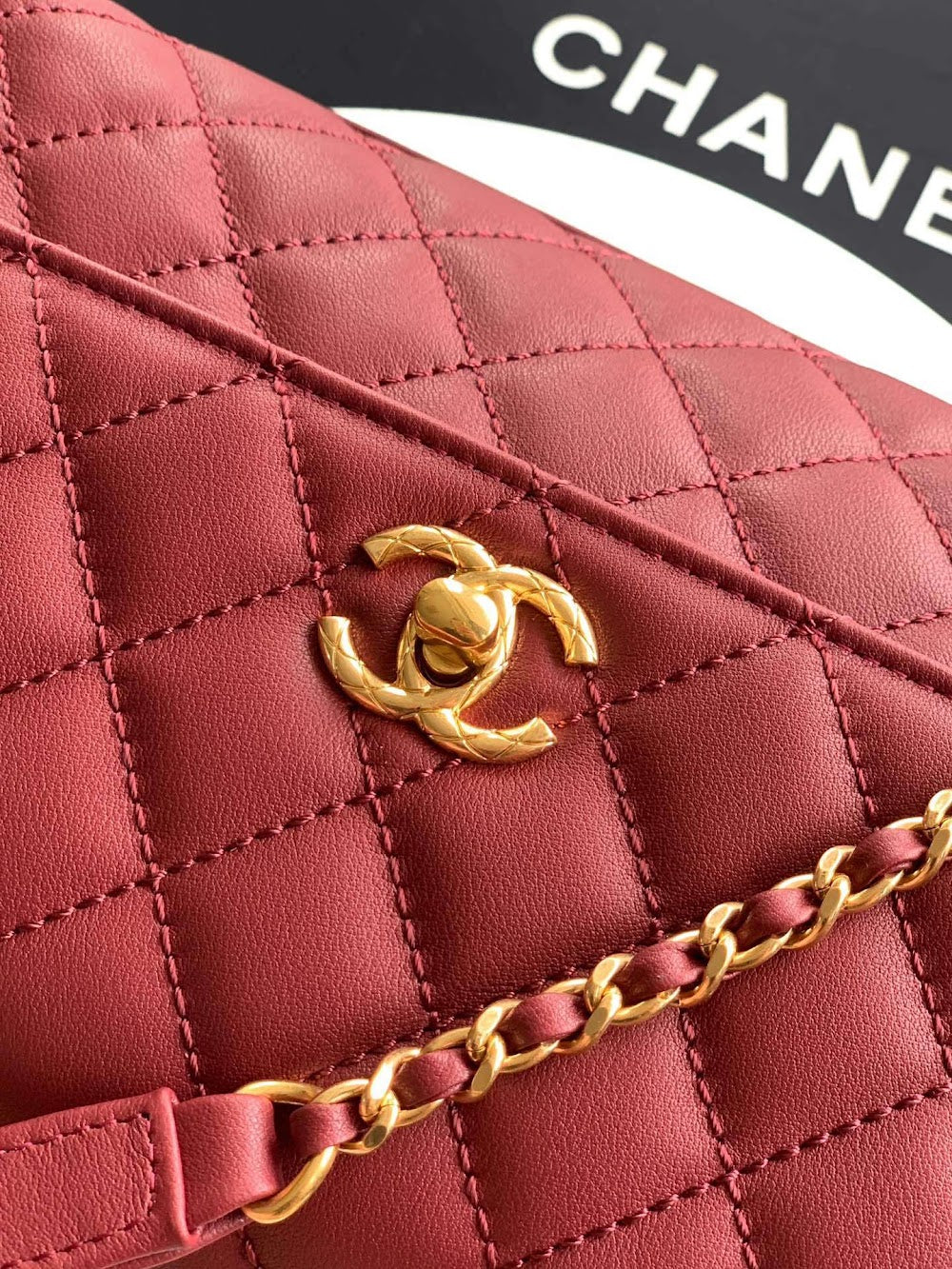 Dragons BagsCHn Luxury Bag --113970