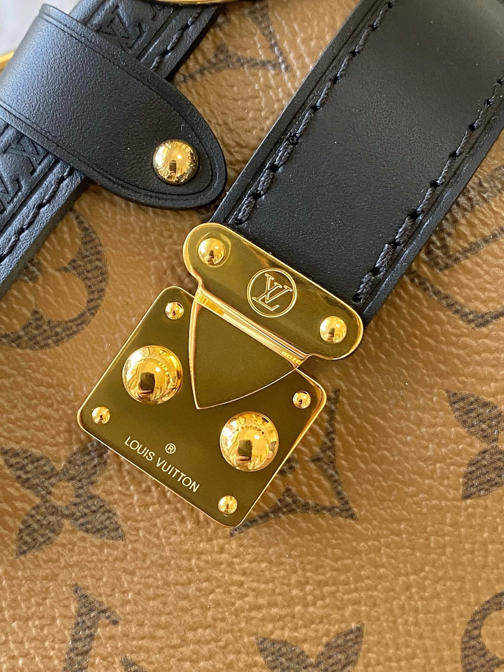 Dragons Bags ln Luxury Bag --96058