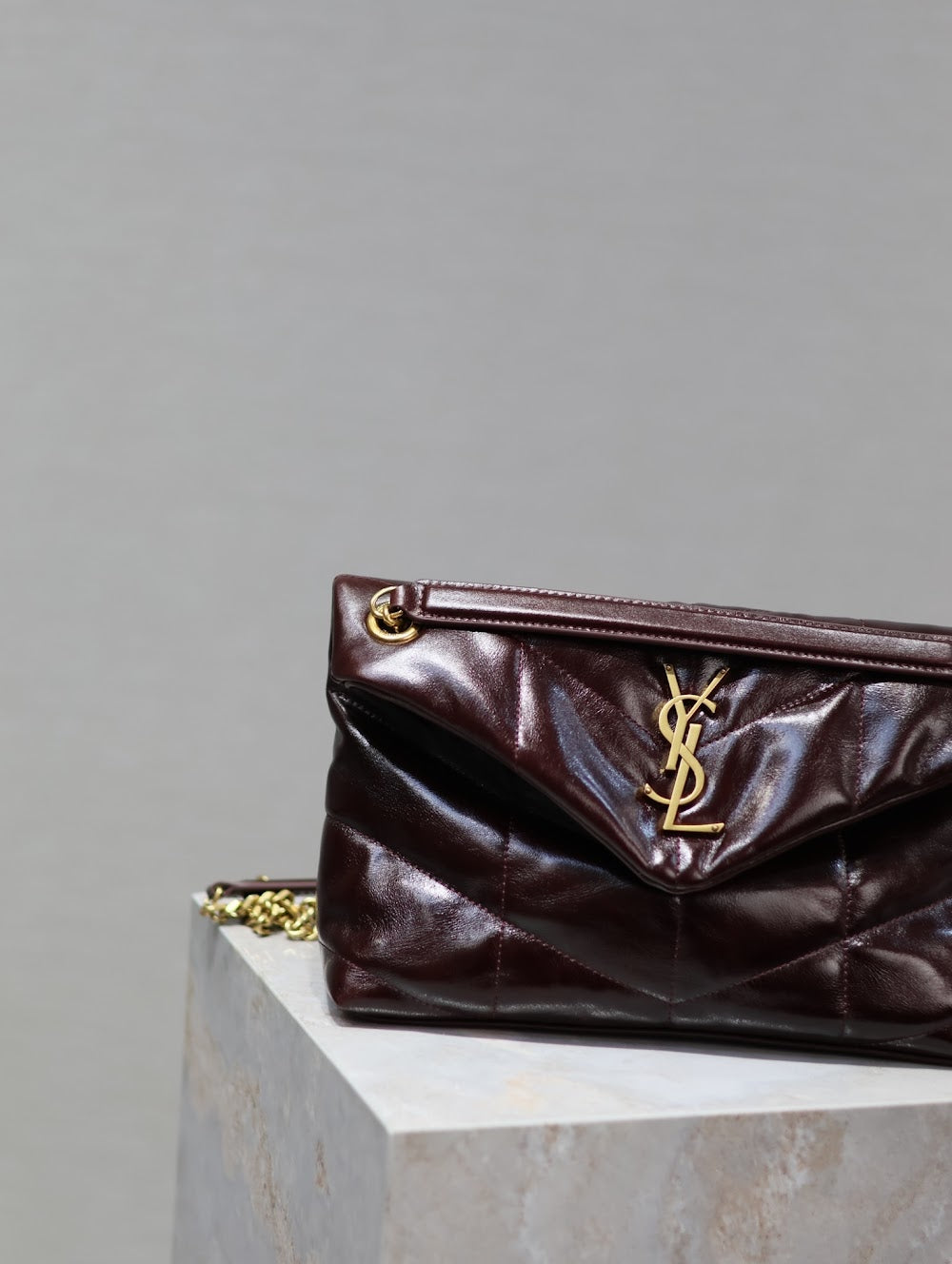 Dragons Bags YSLn Luxury Bag --119413