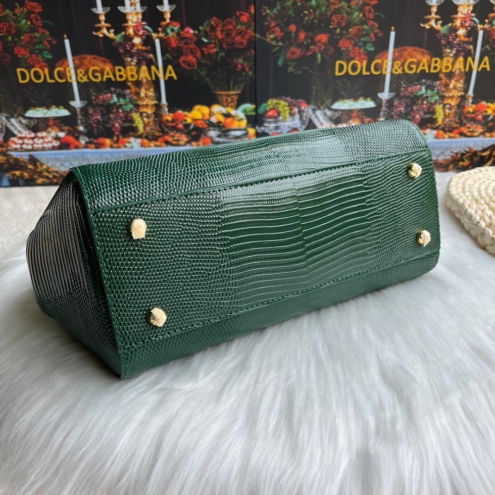 Dragons Bags DGn Luxury Bag --93824
