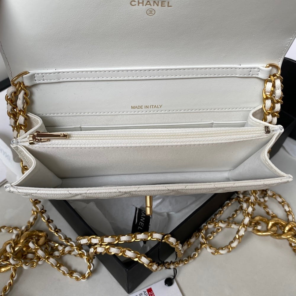 new-luxury-designer-bags-nm10046