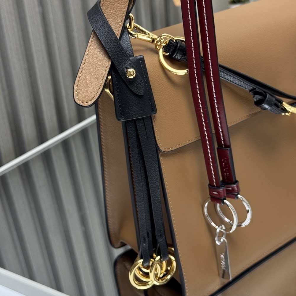 Dragons Bags Pradn Luxury Bag --102021