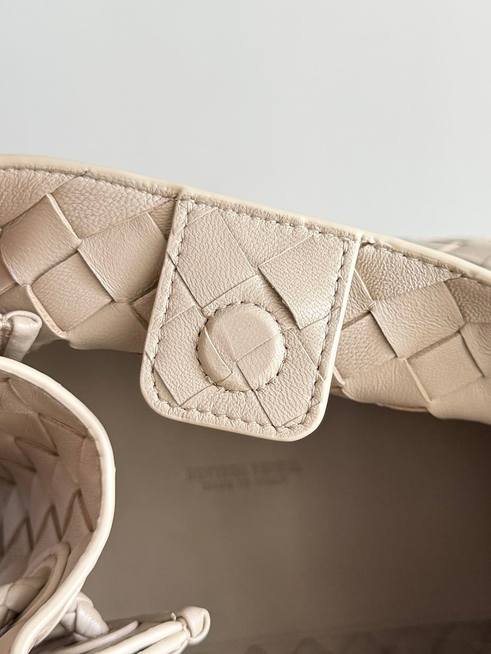 Dragons Bags Bottegan Luxury Bag --91382