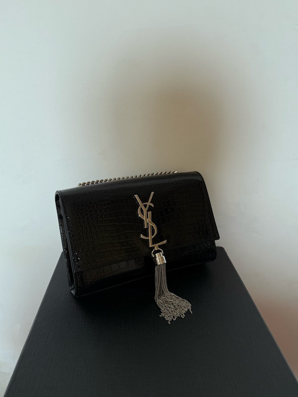 Dragons Bags YSLn Luxury Bag --119998