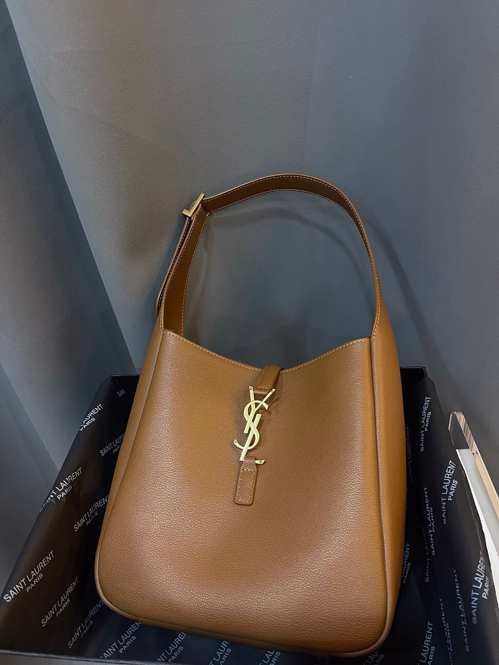 Dragons Bags YSLn Luxury Bag --119081