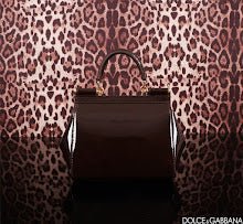 new-designer-premium-bags-nm6959